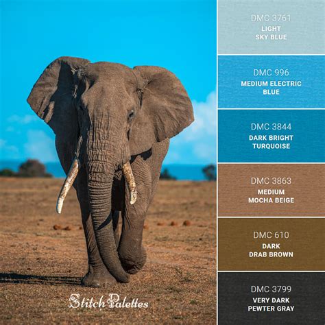 Earth Brown, Sky Blue - Embroidery Color Palette (With Thread Codes)