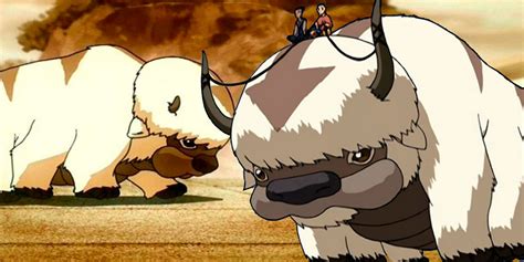 Avatar: What Happened To Appa After The Last Airbender Ended