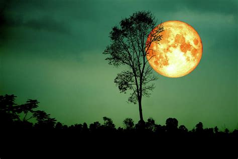 Skywatchers: Harvest full moon, the last supermoon for 2023