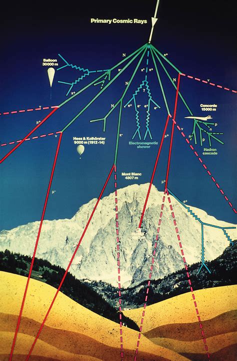 Understanding the Muon Lifetime Experiment