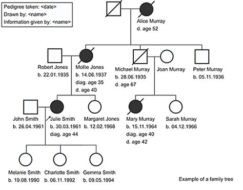 Pedigree Diagram Symbols