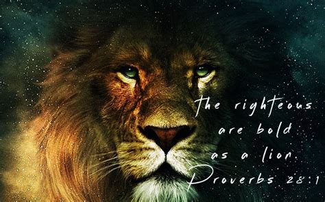 Proverbs 28:1 The righteous are bold as a lion. | Like a lion, Lion ...