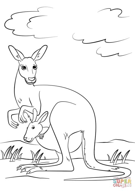 Cute Kangaroo with Baby in Pouch coloring page | Free Printable ...