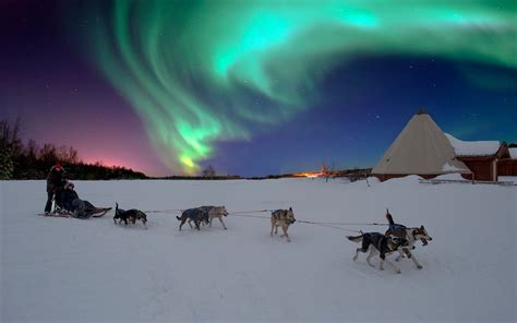 A husky team pull a sled in Norway Lapland Northern Lights, Northern ...