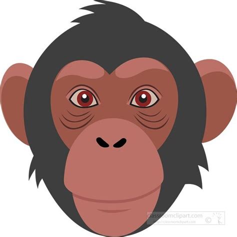 Primate Clipart-serious looking monkey face