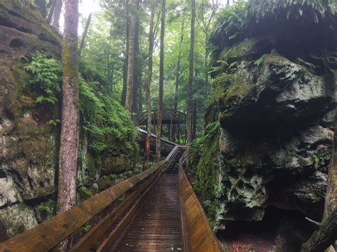 The Beartown Boardwalk Hike In West Virginia Leads To Incredibly Scenic ...