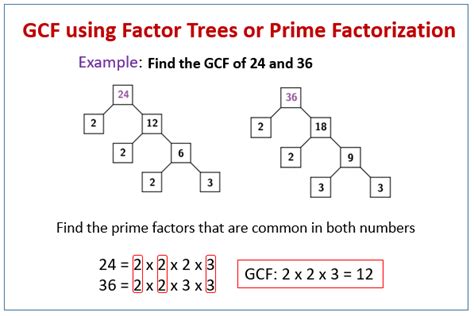 Greatest Common Factor Tree