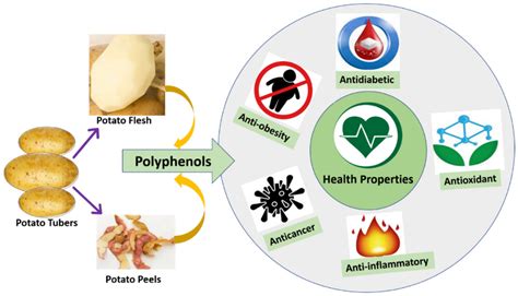 Antioxidants | Free Full-Text | Genetic Diversity and Health Properties ...