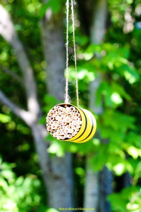 How to Make a Mason Bee Habitat - Perfect Life Cycle of a Bee ...