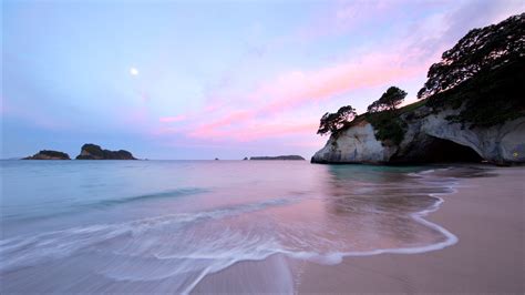 Visit Cooks Beach: 2022 Travel Guide for Cooks Beach, Waikato | Expedia