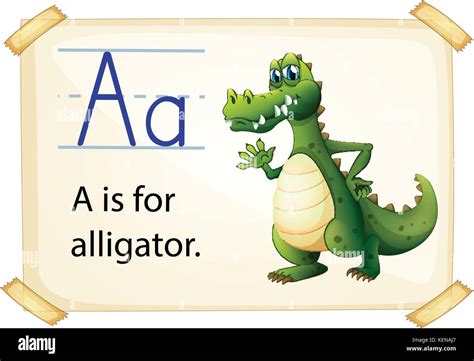 Alligator flashcard poster with letters Stock Vector Image & Art - Alamy