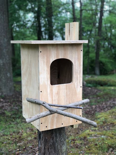 Conservation Barred Owl House Kit, Barred Owl Nesting Box, Barred Owl ...