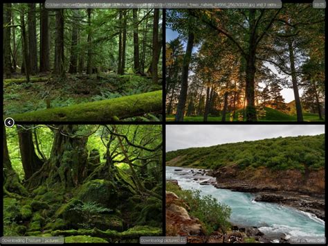 Endless Slideshow Screensaver 1.19.1 free download - Software reviews ...