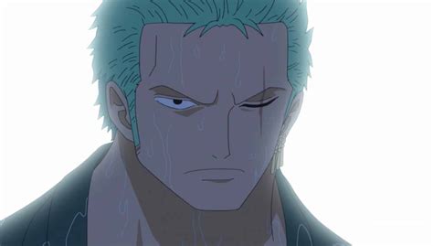 What Episode Does Roronoa Zoro Lose His Eye In One Piece? Theories ...