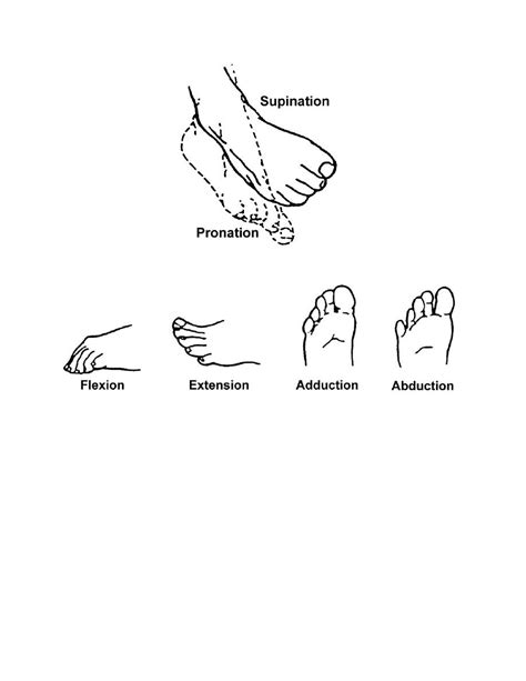 Arms Carry Lift from Floor to Bed Level - Basic Patient Care Procedures