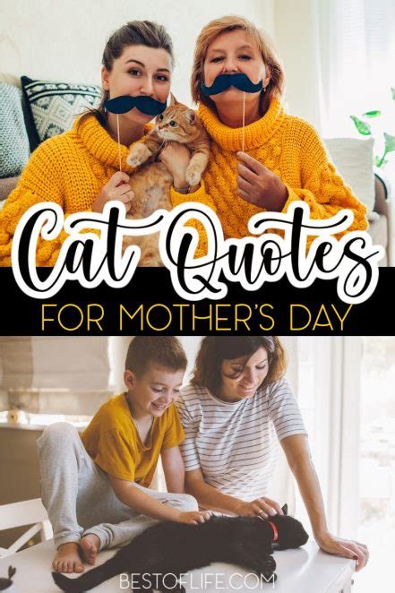 Cat Quotes for Mother's Day - Best of Life