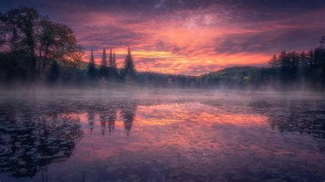 Lake Around Trees With Fog Under Purple Cloudy Sky During Sunset HD ...