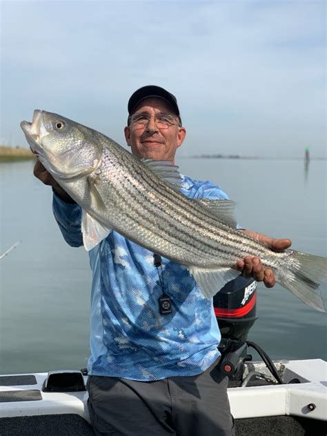 Fishing - Striped bass fishing