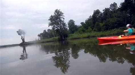 Patuxent River Park Kayaking - YouTube