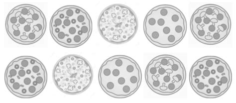 Pizza Fractions - Starfall | Parent-Teacher Center