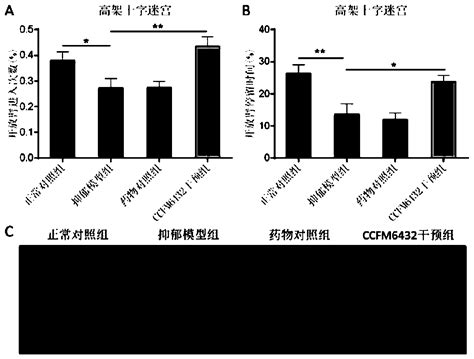 Pediococcus acidilactici CCEM6432 capable of reliving depression ...