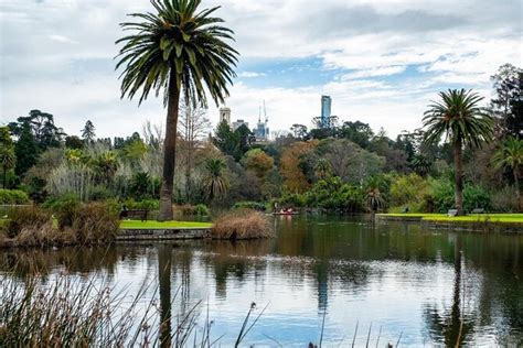 Royal Botanic Gardens Victoria, Melbourne | Tickets & Tours - 2024