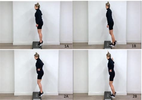 Eccentric loading exercises from the Alfredson Protocol for left ...