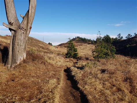 Pemandangan Gunung Prau jalur Dieng – Gugelberg