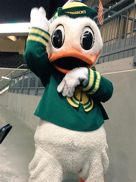 University of Oregon's mascot THE DUCK! | Oregon ducks football, Oregon ...