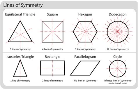 Symmetry In Shapes