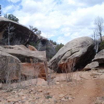 Explore Ancient Ruins in Grand Gulch, Kane Gulch Trailhead