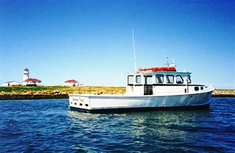 Puffin tours to Machias Seal Island from Cutler, Maine - Bold Coast ...