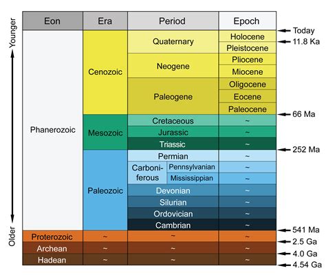 Palazzo trascuratezza piramide geological time scale chart fantoccio ...