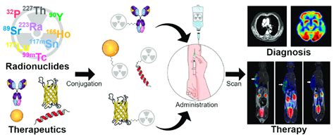 Scheme 1. Schematic figure illustrating the use of radionuclides as ...