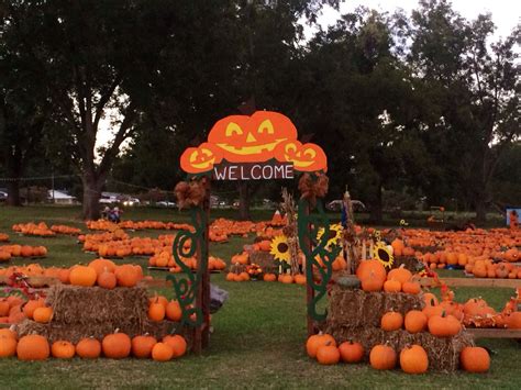 Pumpkin Patch Entrance | Pumpkin patch business, Pumpkin patch pictures ...