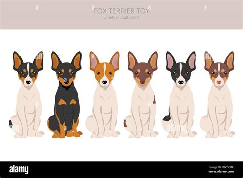 Fox terrier toy clipart. Different poses, coat colors set. Vector ...