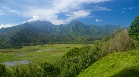 Hanalei Valley Lookout - Tours and Activities | Expedia