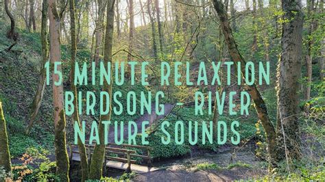 15 Minute Relaxation - Birdsong - River - Nature Sounds - YouTube