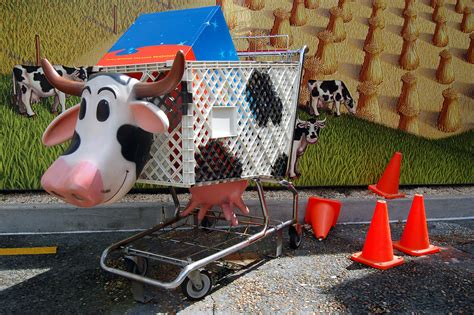 Al's Toy Barn Cart copy | Shopping cart from Al's Toy Barn n… | Flickr