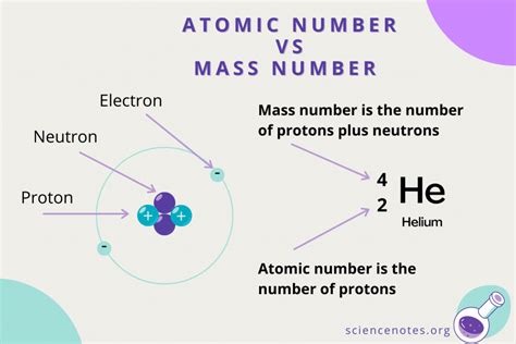 Explain Difference Between Mass Number and Atomic Number - Nicole-has-Hayes