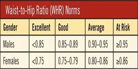 Waist Hip Ratio - how to accurately measure your waist to hip ratio