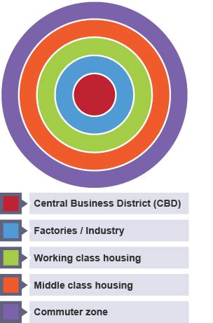 BBC Bitesize - GCSE Geography - Urban models in MEDCs - Revision 1