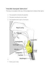 Inducible laryngeal obstruction.docx - Inducible laryngeal obstruction ...