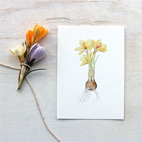 Crocus Watercolor Print - Yellow – Trowel and Paintbrush