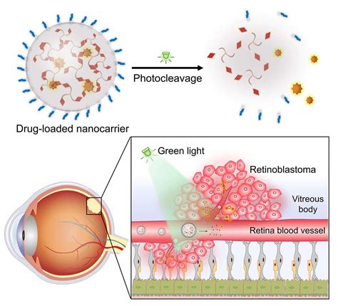 A photoresponsive nano drug delivery system - Innovation Hub@HK