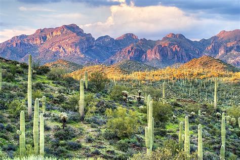 The Sonoran Desert - WorldAtlas