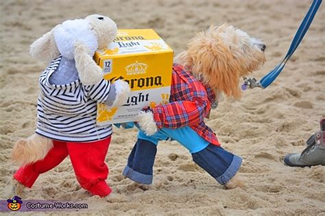 This Brilliant Dog Carrying A Box Of Beer Costume Might Be The Best We ...