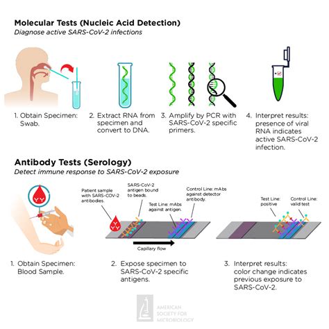 RAPID COVID TESTING • Health360 • Direct Primary Care • Dr. Hélène Nau ...