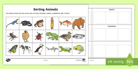 Sorting Animals into Groups Worksheet - Teacher-made