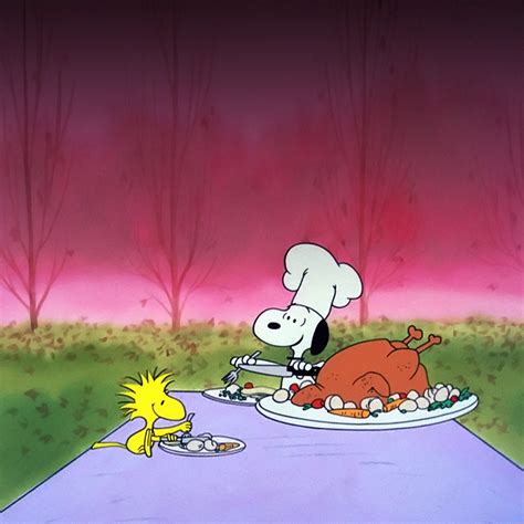 Thanksgiving Snoopy Wallpaper (46+ pictures) - WallpaperSet